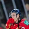 Eishockey: Ex-Nationalspieler Gogulla hilft in der 2. Liga aus
