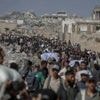 Gaza : 68 personnes tuées par des tirs israéliens selon la Défense civile