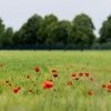 Spitzen bis um die 30 Grad: Der Sommer klopft am Wochenende an die Tür
