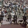 Football : il y a 40 ans, le drame du Heysel faisait 39 morts en marge de la finale de la Coupe des clubs champions entre la Juventus et Liverpool
