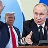 ANDREW NEIL: The world is being remade. And as the Alaska talks show all too clearly, Britain and Europe are now condemned to the status of mere observers