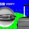 Why youth mobility and fishing are key issues ahead of UK/EU summit