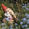 Spaziergang im Grünen: Berlins schönste Kleingartenanlagen entdecken
