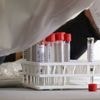 Chikungunya à La Réunion : une étude lancée pour estimer le nombre de personnes infectées