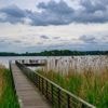 Vorhersage: Wetter: Wechselhafter Wochenstart in Berlin und Brandenburg