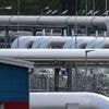 Sieg vor Schweizer Gericht: Nord-Stream-2-Betreiber darf nach Investoren suchen