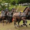 Equitation. Huit nations représentées au concours d’attelage international de Saumur