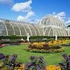 Kew Gardens' Palm House is getting a £50 million climate-friendly makeover: Iconic Victorian glasshouse will SHUT for four years in major net zero push