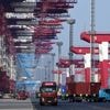 Welthandel: Chinas Export trotzt Zollstreit - Handel mit USA bricht ein