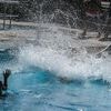 Wetter: Bayern schwitzt am Freitag besonders