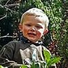 Boy, three, died in a 'furious and prolonged' attack by 'dangerous' 50kg dogs after his parents allowed him to wander into their pen unsupervised, court hears