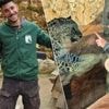 Tijger doodt verzorger in dierentuin Jeruzalem