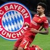 Arne Slot raakt Luis Díaz kwijt: Bayern München bereikt akkoord voor transfer van 75 miljoen euro