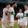 Liga. Pour lutter contre les rats, Elche va interdire les graines de tournesol dans son stade