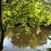 La Corrèze et la Dordogne placées en vigilance orange pour un risque de crues