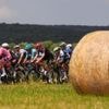 Italien-Rundfahrt: Triple für Ex-Weltmeister Mads Pedersen beim Giro