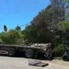États-Unis : 250 millions d'abeilles échappées d'un camion