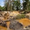 En Guyane, une vingtaine d'employés pris en otage sur deux sites d'orpaillage
