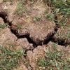 „Es braucht ein Umdenken in der Wasserpolitik“: Grundwasser wird in vielen Regionen Brandenburgs knapper