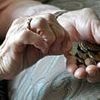 Britain's state pension triple lock system deemed 'unsustainable' as the cost is set to rocket to THREE times the original projection by the end of the decade