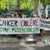 Des dizaines d’agriculteurs manifestent contre la présence d’acétamipride dans un magasin à Dijon