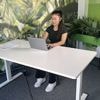 FlexiSpot E1 Pro: Vor- und Nachteile