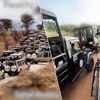 KIJK. Safariparken lijken op drukke zoo wanneer tientallen jeeps in de file staan op een zandweggetje