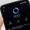 WhatsApp plans to add even MORE AI tools - despite users threatening to delete their accounts after Meta added 'annoying' AI button