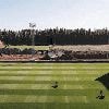 “Ik speelde menig derde helft met een grietje onder Tribune Twee”: Antwerp-fans en iconen als Lehnhoff nemen afscheid van gesloopte tribune