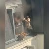 Incendie à Paris : Fousseynou Cissé va être décoré pour "acte de courage et de dévouement" après son sauvetage héroïque