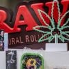 REPORTAGE. "Je ne sais pas ce qu'il y a dedans" : face au succès du CBD, les risques méconnus d'un marché en plein essor