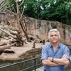 "Auch uns fasst das an": Warum will der Nürnberger Zoo Paviane töten?