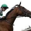 Robin Goodfellow's racing tips: Best bets for Wednesday, June 4