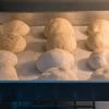 Brötchen 2.0? In nur 30 Minuten selbst backen
