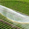 Klimawandel: Kommunen: Bürger auf Wasserknappheit bei Hitze vorbereiten