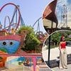 I visited the theme park with Europe's tallest roller coaster - it's as good as Disneyland but half the price