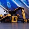 Even robots get stage fright! Watch the horrifying moment a robot dog COLLAPSES on stage during America's Got Talent audition