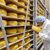 Dit kaasbedrijf levert aan 160 landen, maar blijft bij grootse uitbreiding trouw aan klein dorp