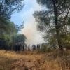 Incendie meurtrier dans l'Aude : "Il faut pouvoir obliger les propriétaires à débroussailler", réclame le président des maires ruraux du département