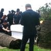 Unfall bei Filmfestspielen: Festival-Besucher durch umfallende Palme in Cannes verletzt