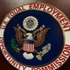 Civil rights agency's acting chief to face questions on anti-DEI, transgender stances