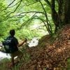 Qu’est-ce que le brisk walking, cette alternative à la course à pied qui gagne en popularité ?