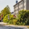 Bomenkap in Deurne tijdelijk stopgezet: Groen bereikt akkoord met stadsbestuur