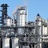 Britain's bioethanol industry facing collapse as ministers refuse bailout