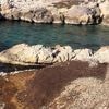 Début d'un chantier de 14 millions d'euros pour dépolluer 20 sites dans les calanques marseillaises