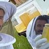 David Beckham takes his mind off family feud as he gushes over his love for beekeeping in sweet post to celebrate World Honey Bee Day