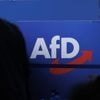 Debatte um ein AfD-Verbot: Verfassungsrechtlich bedenklich, politisch töricht