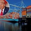 FTSE shrugs off tariff fears to hit new high as investors bet Trump will U-turn on 50% copper levy