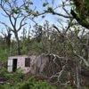 Mayotte est passée en phase d'épidémie pour le chikungunya, annoncent les autorités sanitaires