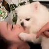 Woman's 'disgusting' act with her pet pomeranian shocks the internet